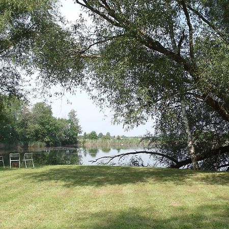 Ferienwohnungen Im Kunst.Haus Am See Doberlug-Kirchhain Ngoại thất bức ảnh