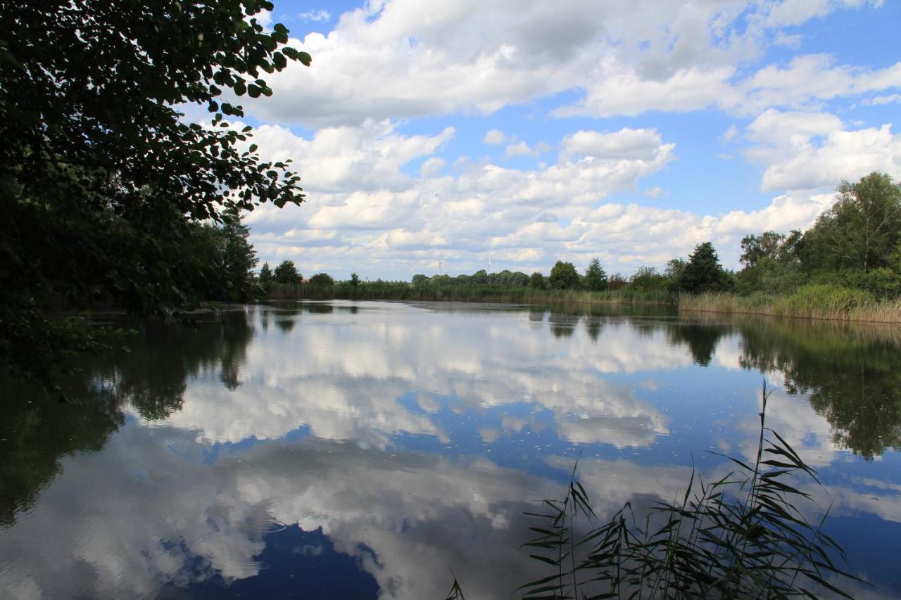 Ferienwohnungen Im Kunst.Haus Am See Doberlug-Kirchhain Ngoại thất bức ảnh